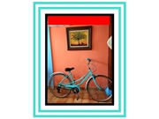 Aluguel de Bicicleta Vintage na Cidade Monções